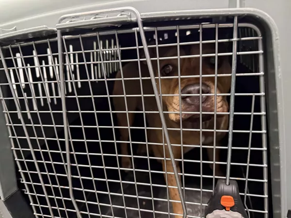 1096/25 Warszawa, ul. Modlińska