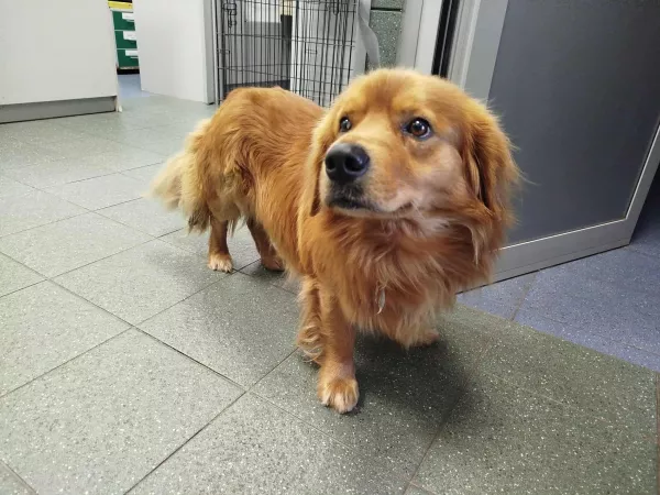 1098/25 Warszawa, ul. Marymoncka