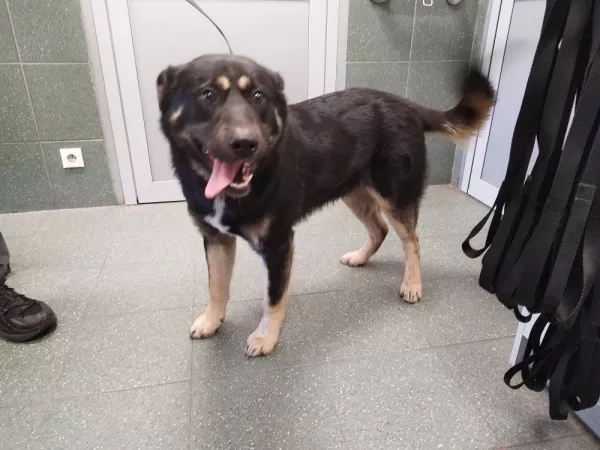 1101/25 Warszawa, ul. Bananowa (działki)