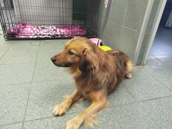 1104/25 Warszawa, ul. Białowieska