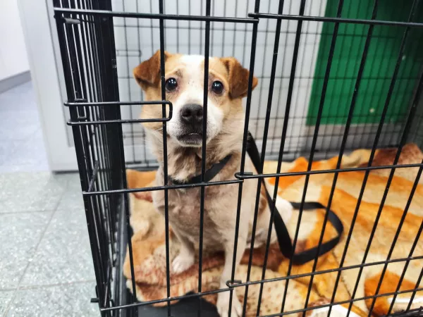 1119/25 Warszawa, Wybrzeże Gdańskie