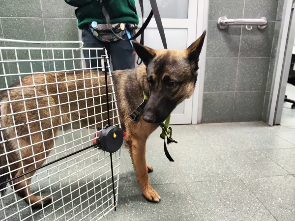 1120/25 Warszawa, Wybrzeże Helskie 