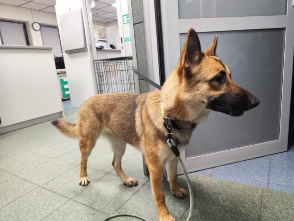 1121/25 Warszawa, Wybrzeże Helskie 