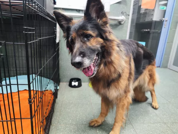 1122/25 Warszawa, ul. Handlowa