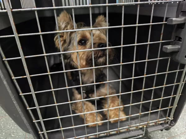 1124/25 Warszawa, Park Polińskiego (znaleziony), Ostrobramska (odebrany)