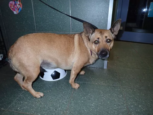 1166/25 Warszawa, ul. Zwierzyniecka