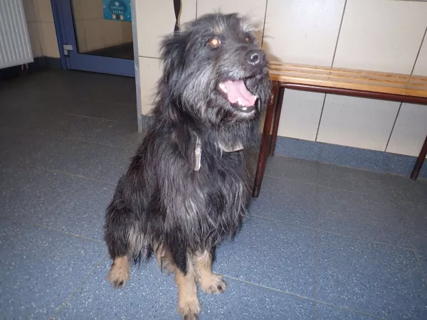 1167/25 Warszawa, ul. Zagójska