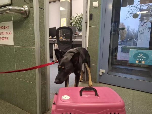 1173/25 Warszawa, ul. Rzodkiewki