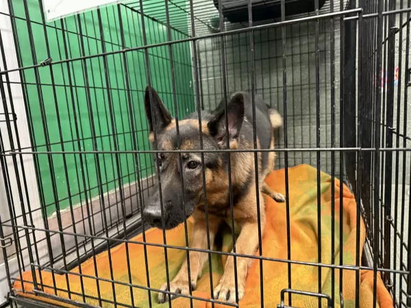 1176/25 Warszawa, ul. Modlińska