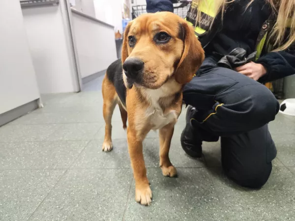 1179/25 Warszawa, ul. Gierymskiego