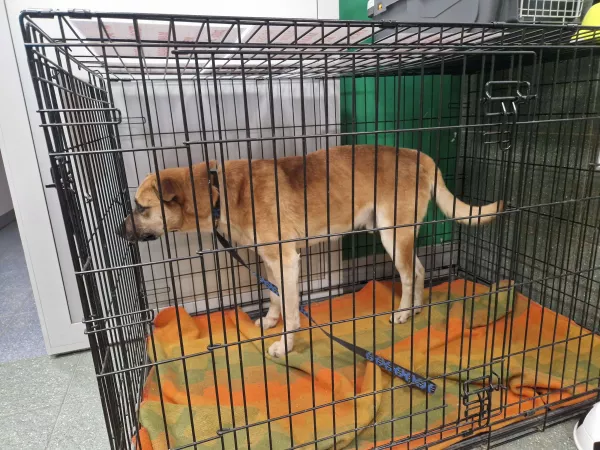 1188/25 Warszawa, ul. Grzybowa (lecznica)