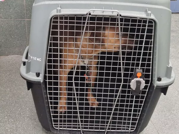 1192/25 Warszawa, ul. Kwiatowa