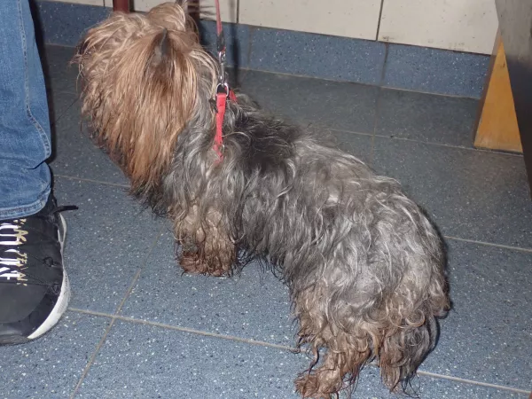 1197/25 Warszawa, ul. Nowowiejska