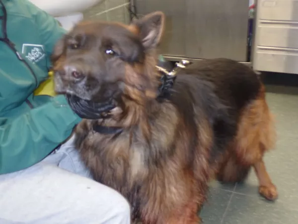 1204/25 Warszawa, ul. Przyczółkowa