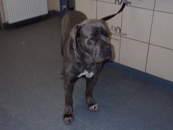 1205/25 Warszawa, ul. Przyczółkowa