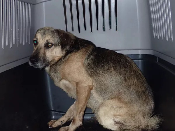 1206/25 Warszawa, ul. Żwirki i Wigury