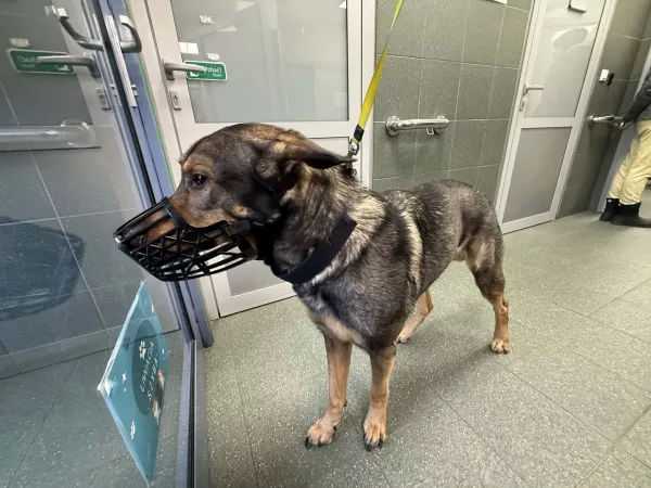 1209/25 Warszawa, ul. Modlińska