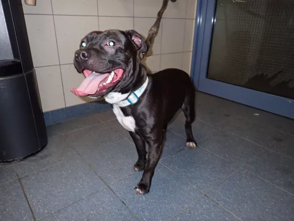 1210/25 Warszawa, ul. Witebska