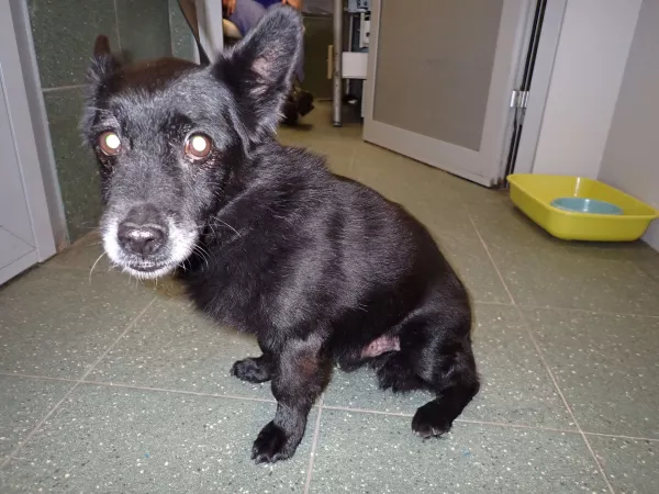 1214/25 Warszawa, ul. Trakt Lubelski