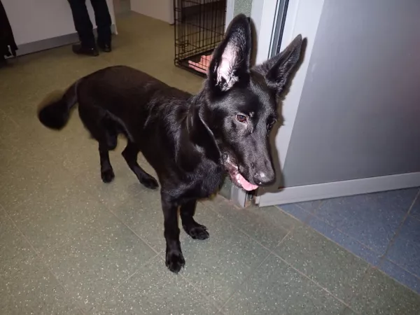 1216/25 Warszawa, ul. Bartnicza - znaleziony, ul. Palestyńska - odebrany