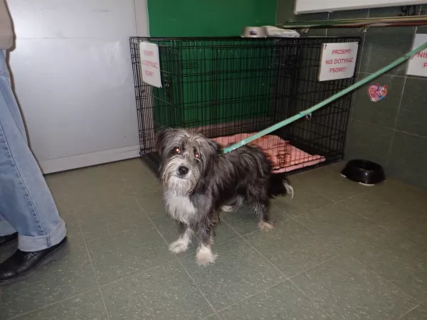 1218/25 Warszawa, ul. Na Uboczu