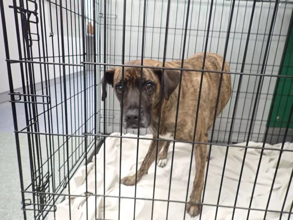 1234/25 Warszawa, ul. Wilcza