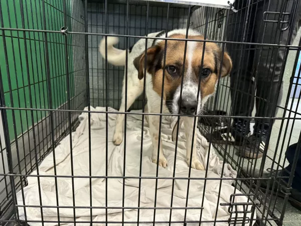 1235/25 Warszawa, ul. Marymoncka