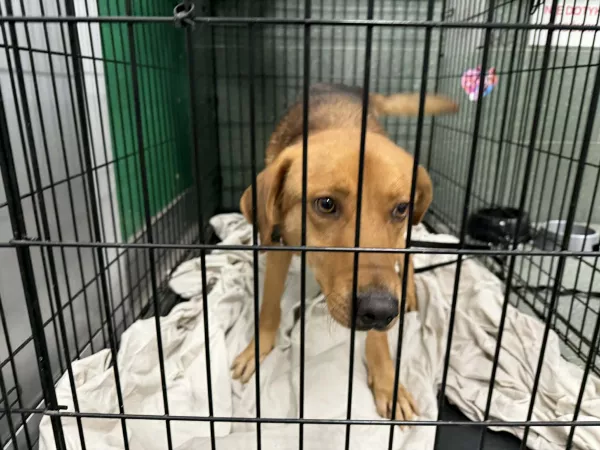 1236/25 Warszawa, ul. Kasprowicza (lecznica)