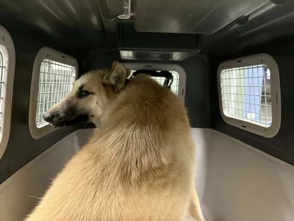 1237/25 Warszawa, ul. Łopuszańska (lecznica)