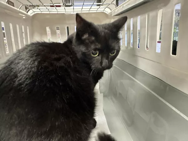 0890/25 Warszawa, ul. Fort Wola