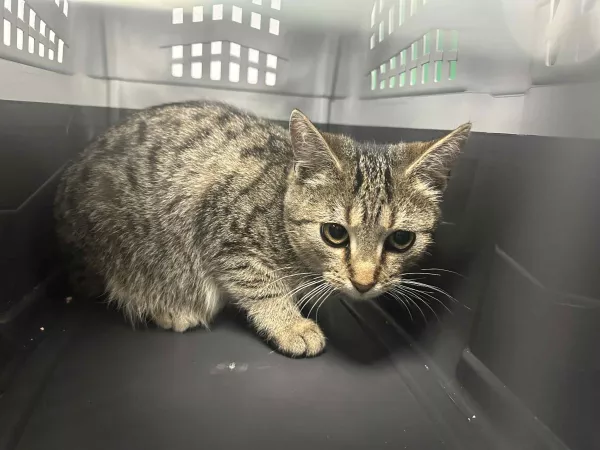 0891/25 Warszawa Ursus