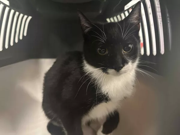 0892/25 Warszawa Ursus