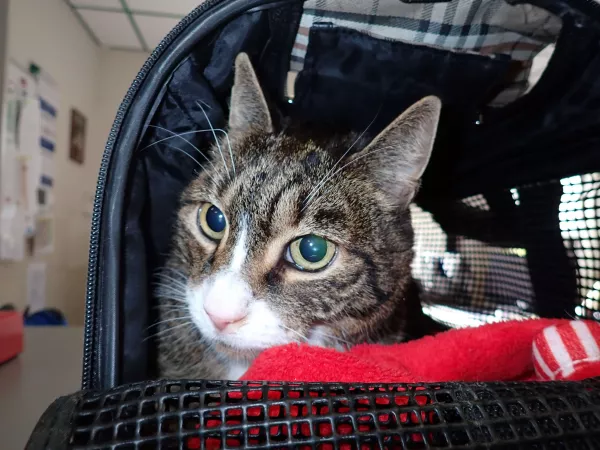 0894/25 Warszawa, ul. Aleja Niepodległości