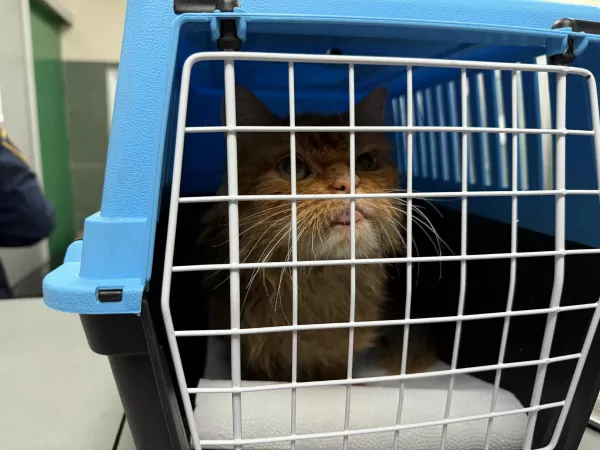 0905/25 Warszawa, ul. Targowa