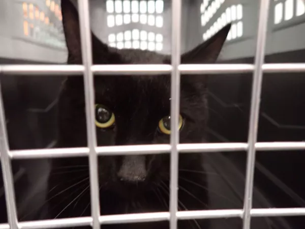 0935/25 Warszawa, ul. 1 Sierpnia