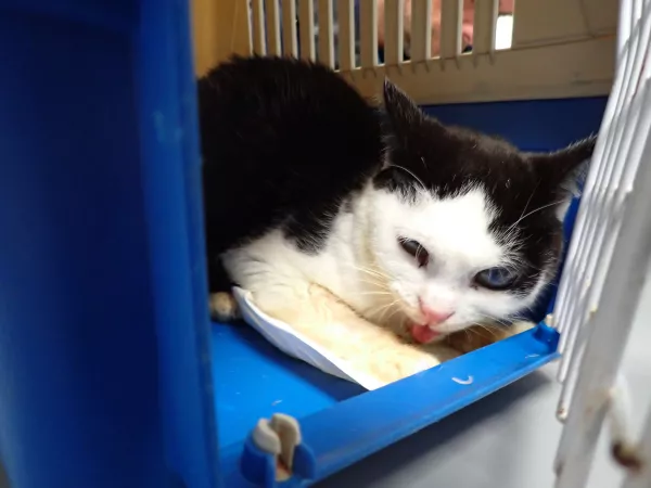 0936/25 Warszawa, Plac Hallera (lecznica)