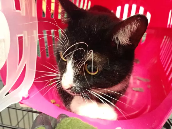 0937/25 Warszawa, Plac Hallera (lecznica)