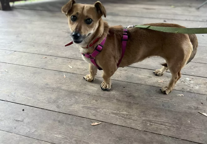 Bindi 0849/25