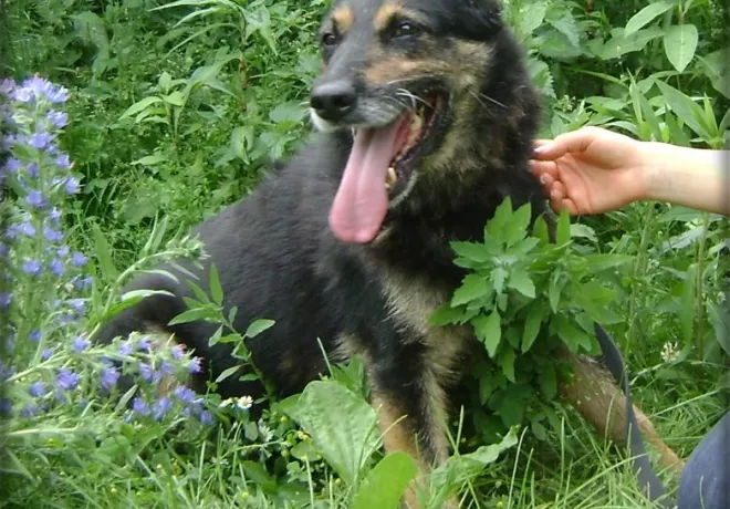 Miłka 2315/07