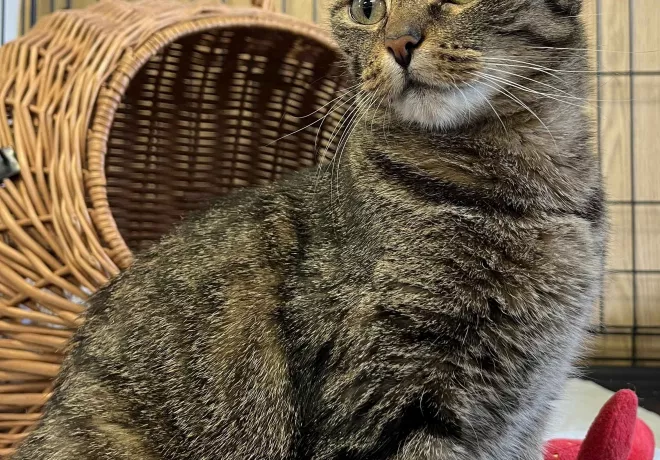 Kiki 0291/25