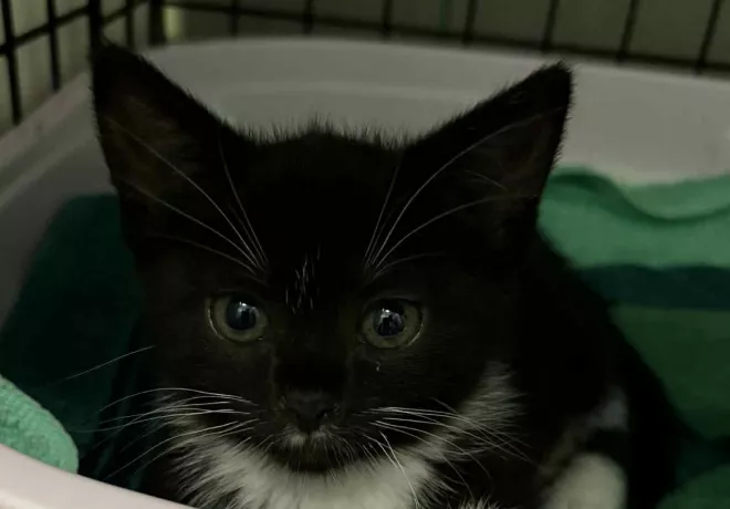 Marley 0408/25