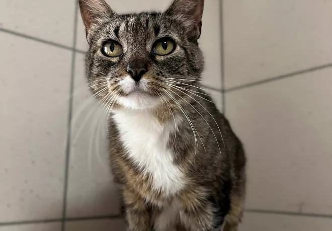 Bibi 0491/25
