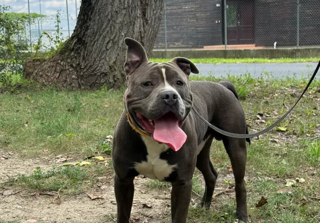 Ozzy  0702/25